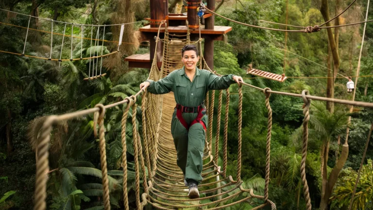 Jungle Confidence Course