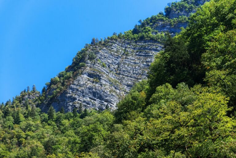 Nerwey: The Complete Guide to Understanding Its Meaning, Uses, and Growing Popularity Nerwey